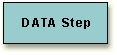 DATA step