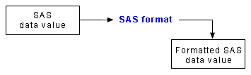 SAS format