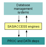 Sharing data between the SAS System and a DBMS