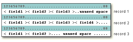 fixed-length record format