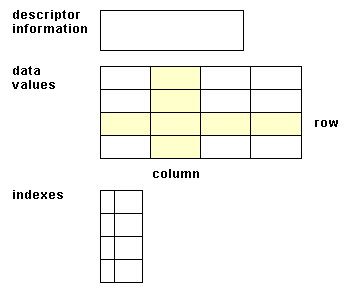 SAS data set structure