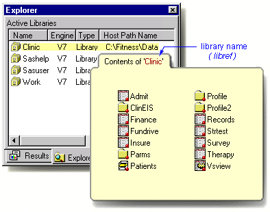 Name (libref) associated with a SAS library