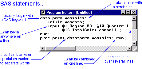 SAS Statements