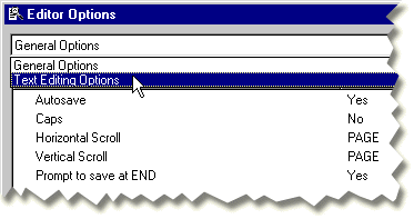 Program Editor Options  dialog box