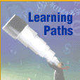 Learing Paths